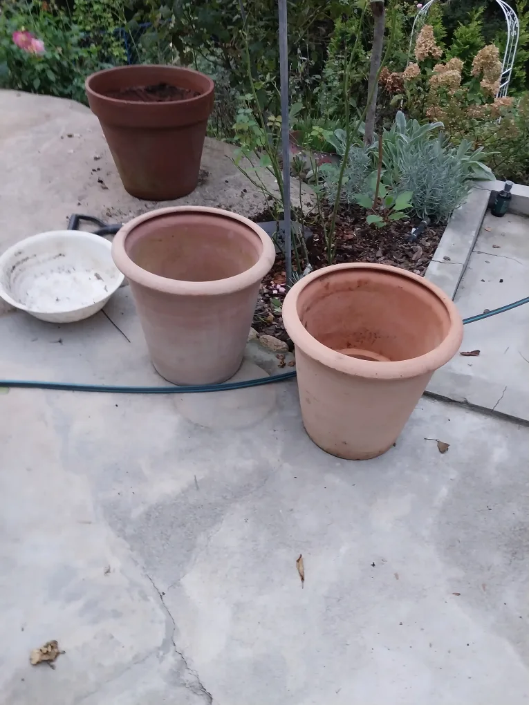 Deroma 토분 (사용감 있음)