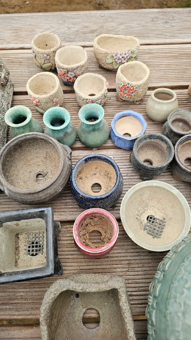 다육이화분 30개 1만원