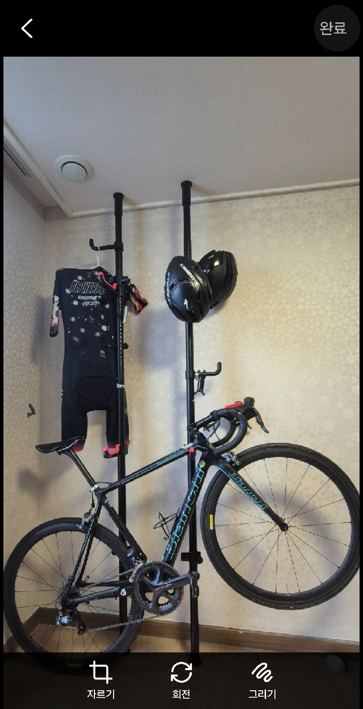 비앙키 스페셜리시마 cv 53사이즈 | 스포츠/레저 | 당근 중고거래