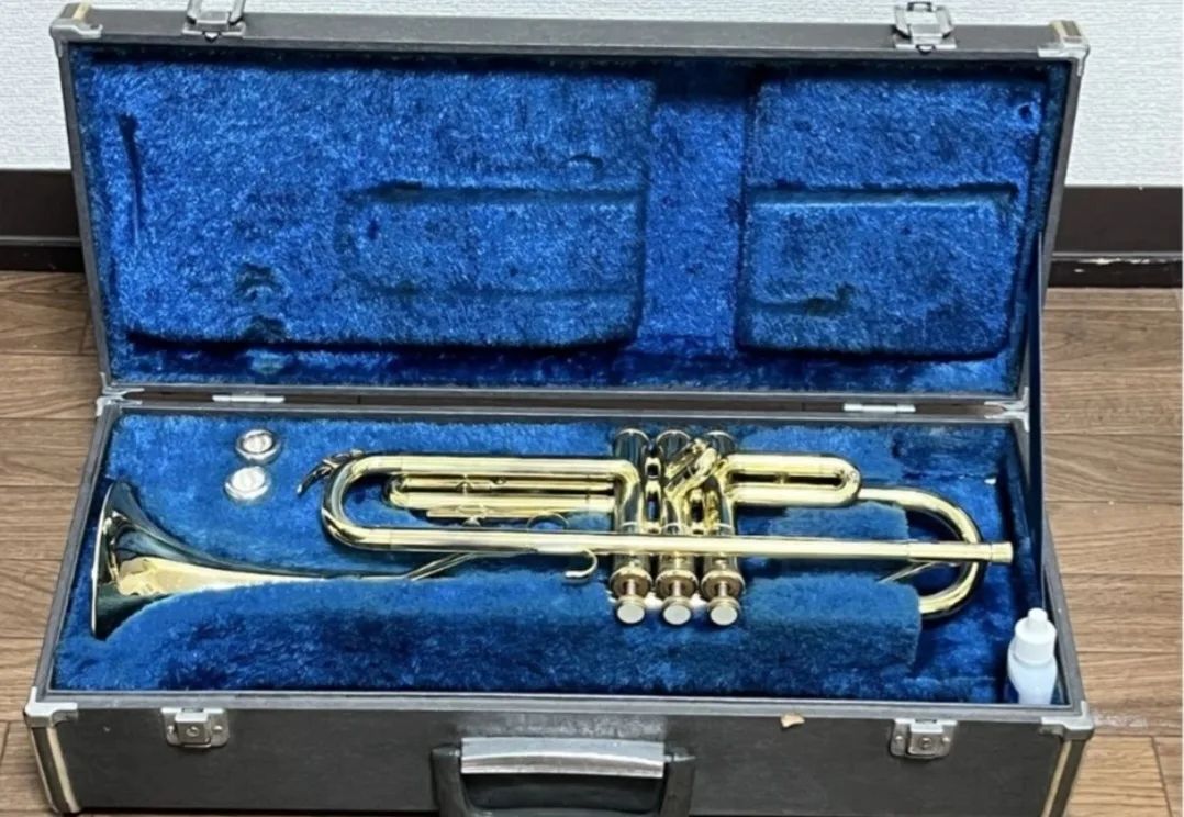 중고트럼펫 당근