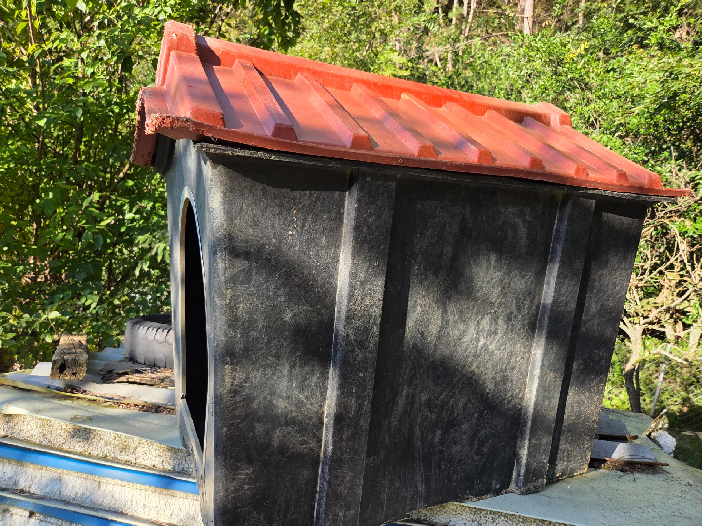 대형견 야외용 개집