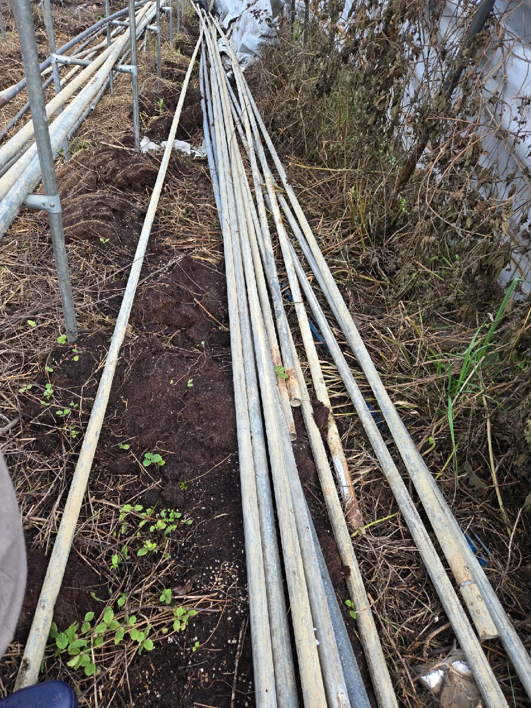 비계 파이프 판매