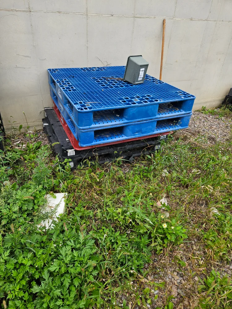 중고 플라스틱 파레트