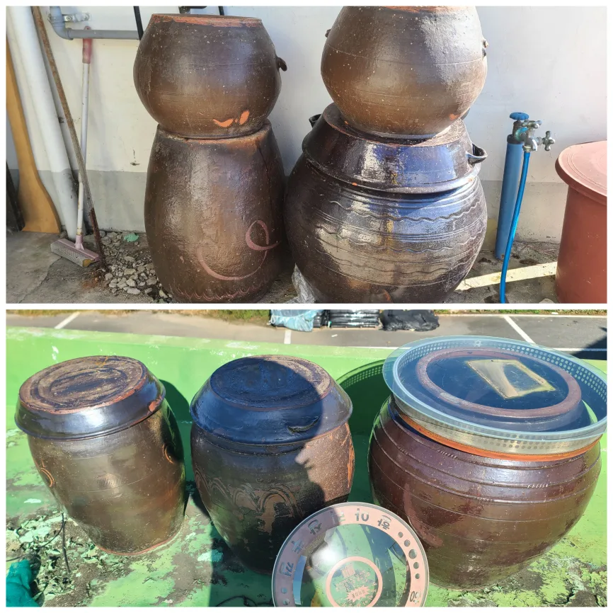 다양하고 큰옹기 항아리 7개