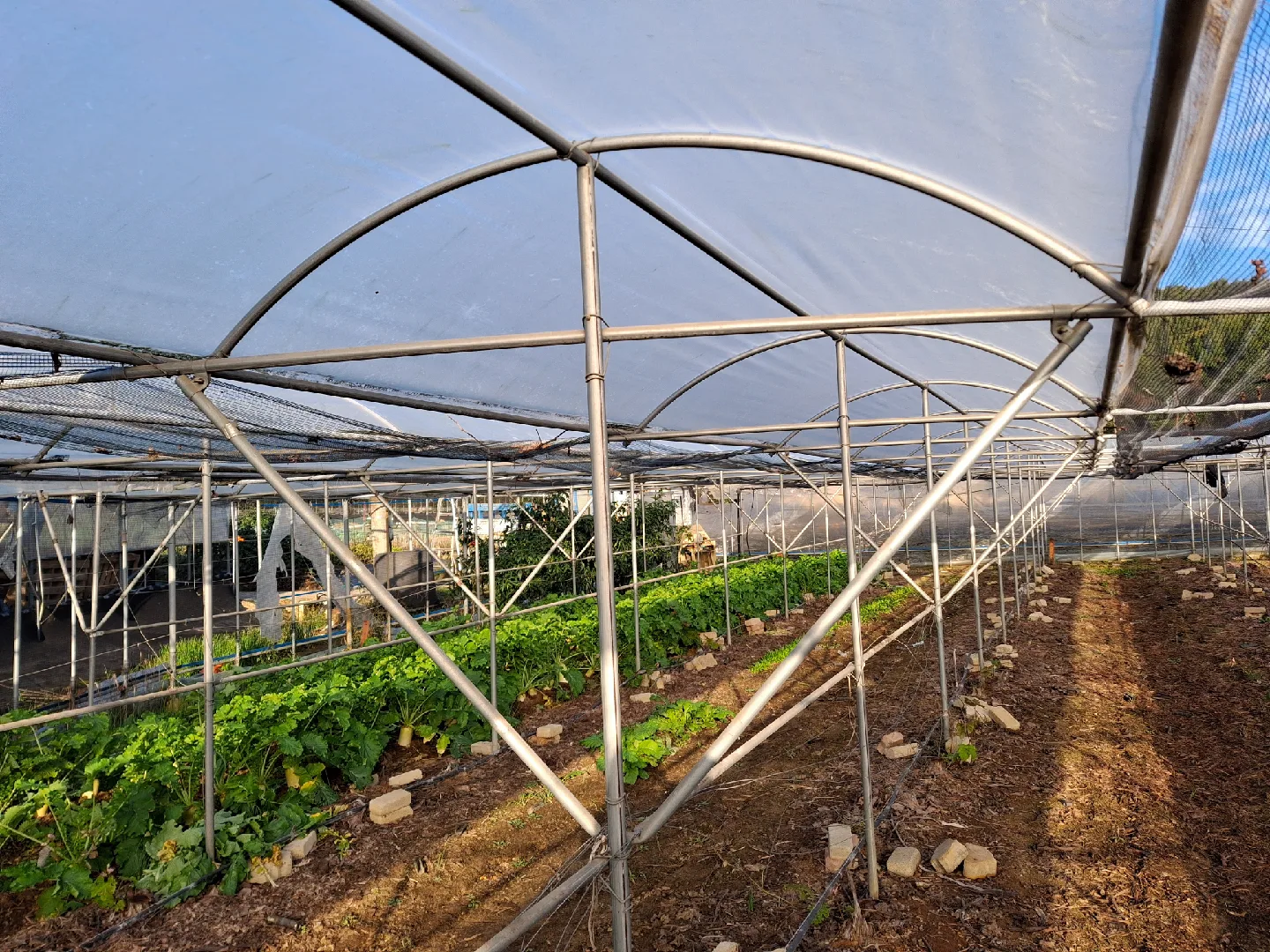 포도비기림  철거자재