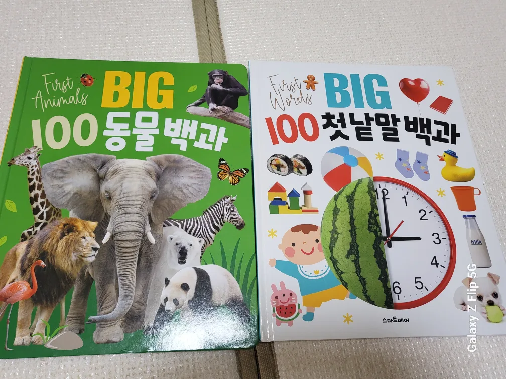 스마트베어 BIG 100 동물백과 첫낱말 백과