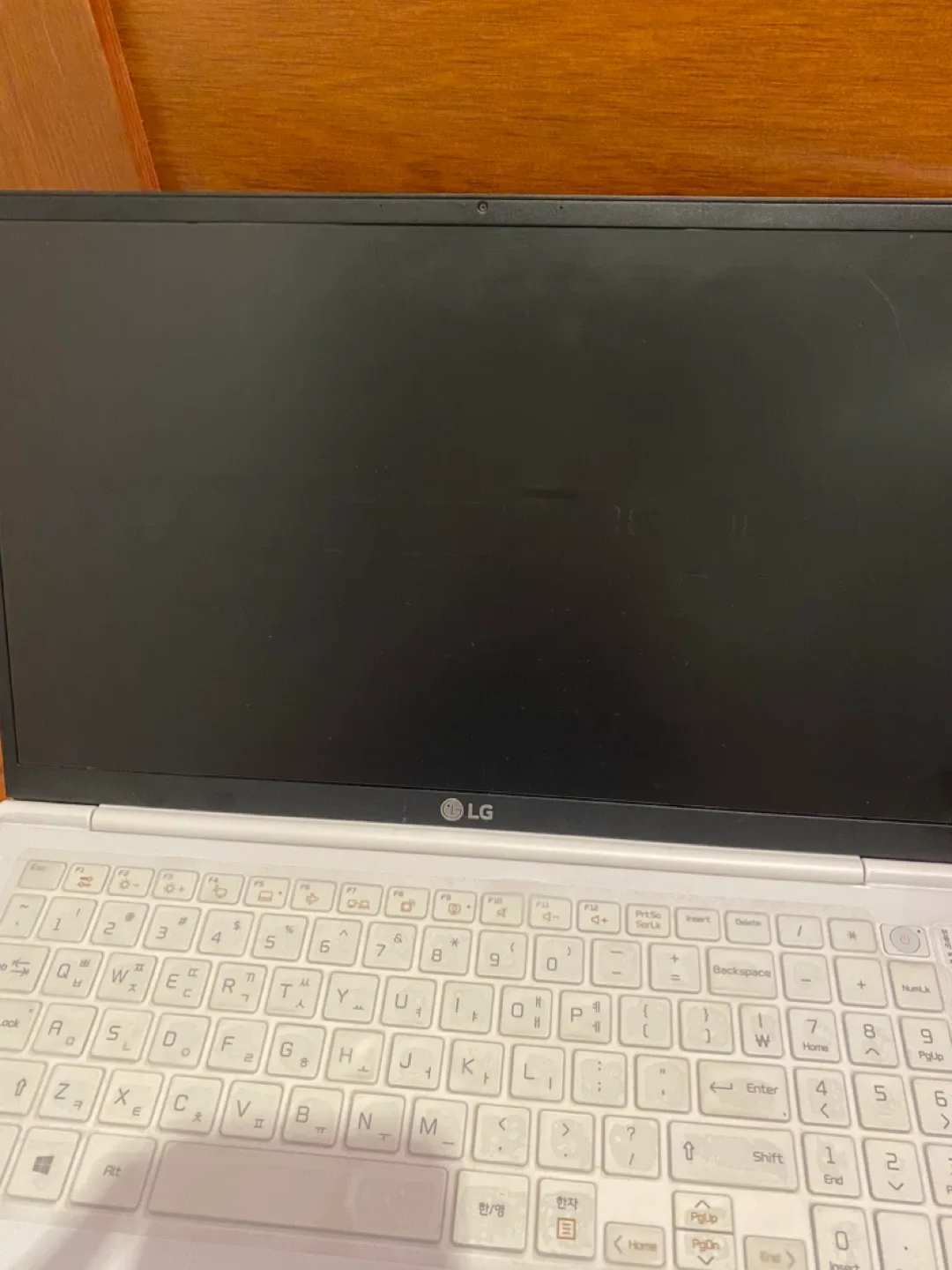 LG Gram 15ZD990-VX50K 노트북