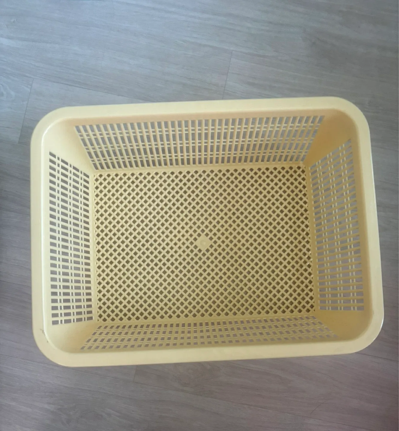 다용도 바구니🔥