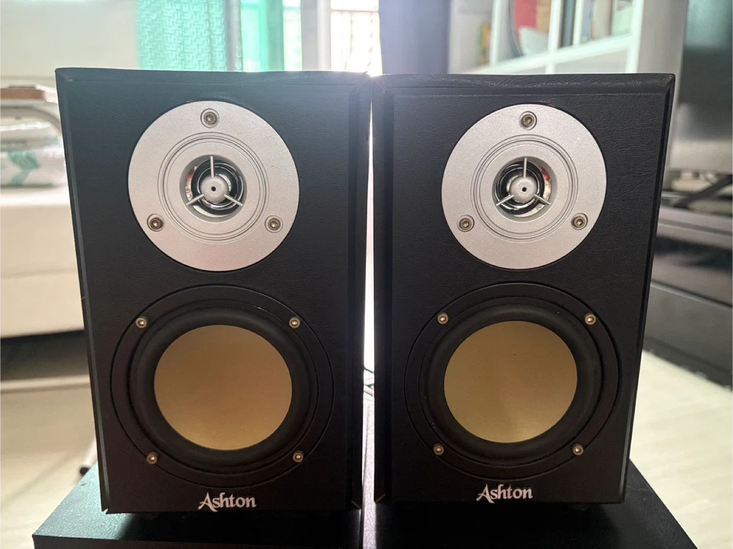 Ashton AT-3800 스피커 중고
