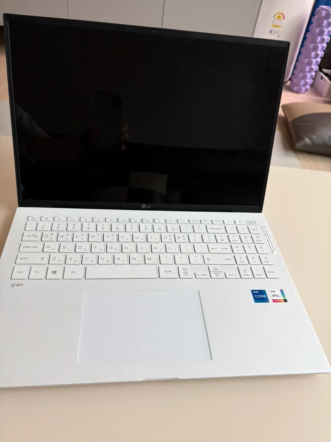 LG 그램 16인치 노트북 16Z90P-GX76K