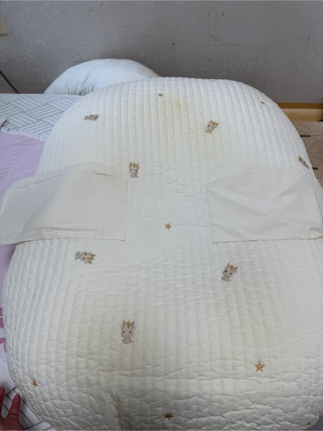 제이엔제나 역방쿠