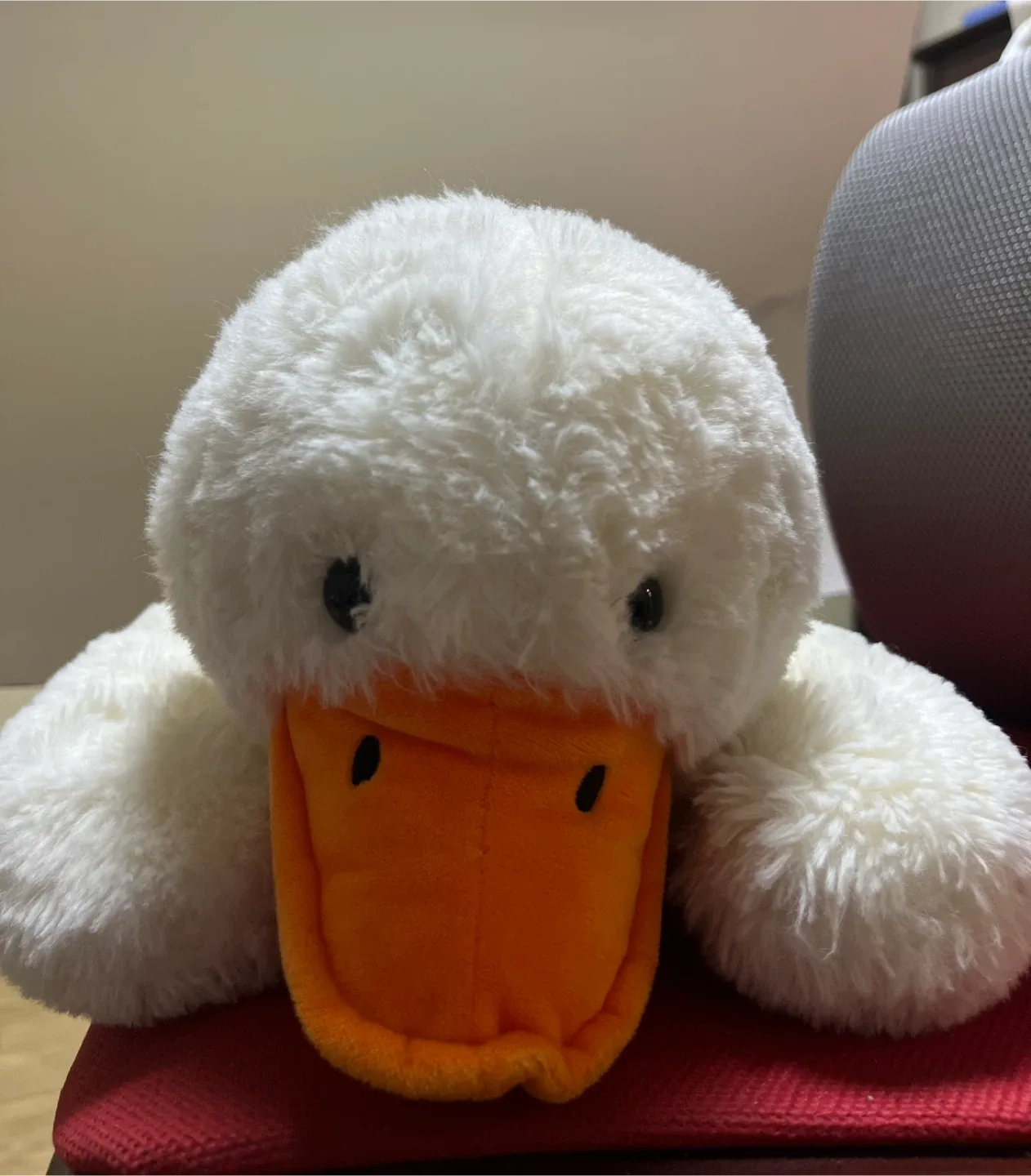 흰색 오리 인형