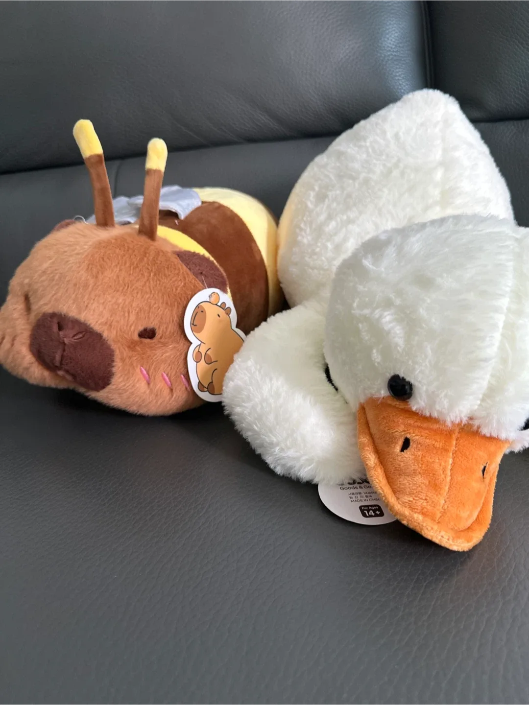 오리 & 꿀벌 인형 판매합니다