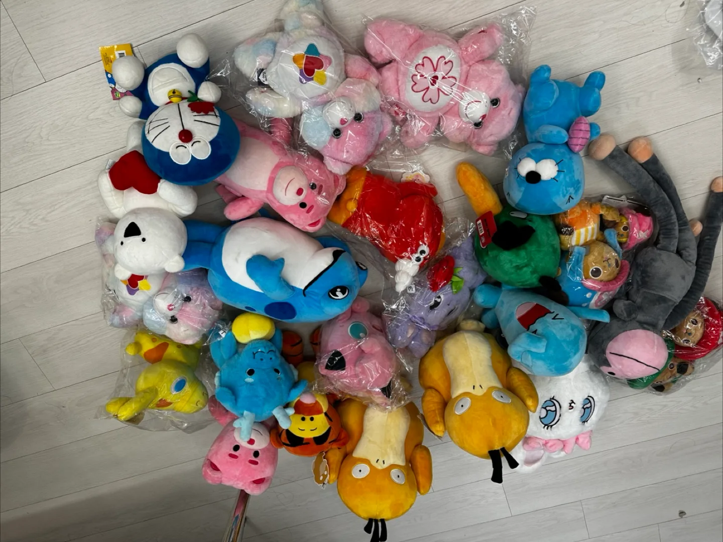 중고 봉제인형 이것저것