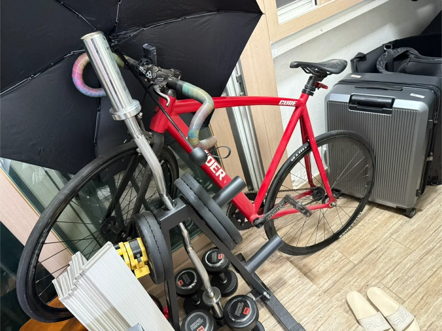 리더 큐어 픽시 자전거 - 레드