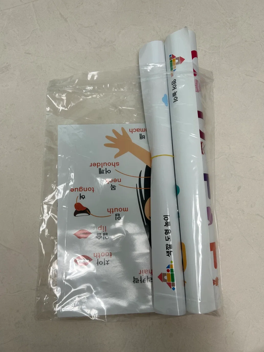 학습 포스터 세트 (몸, 탈것, 알파벳)