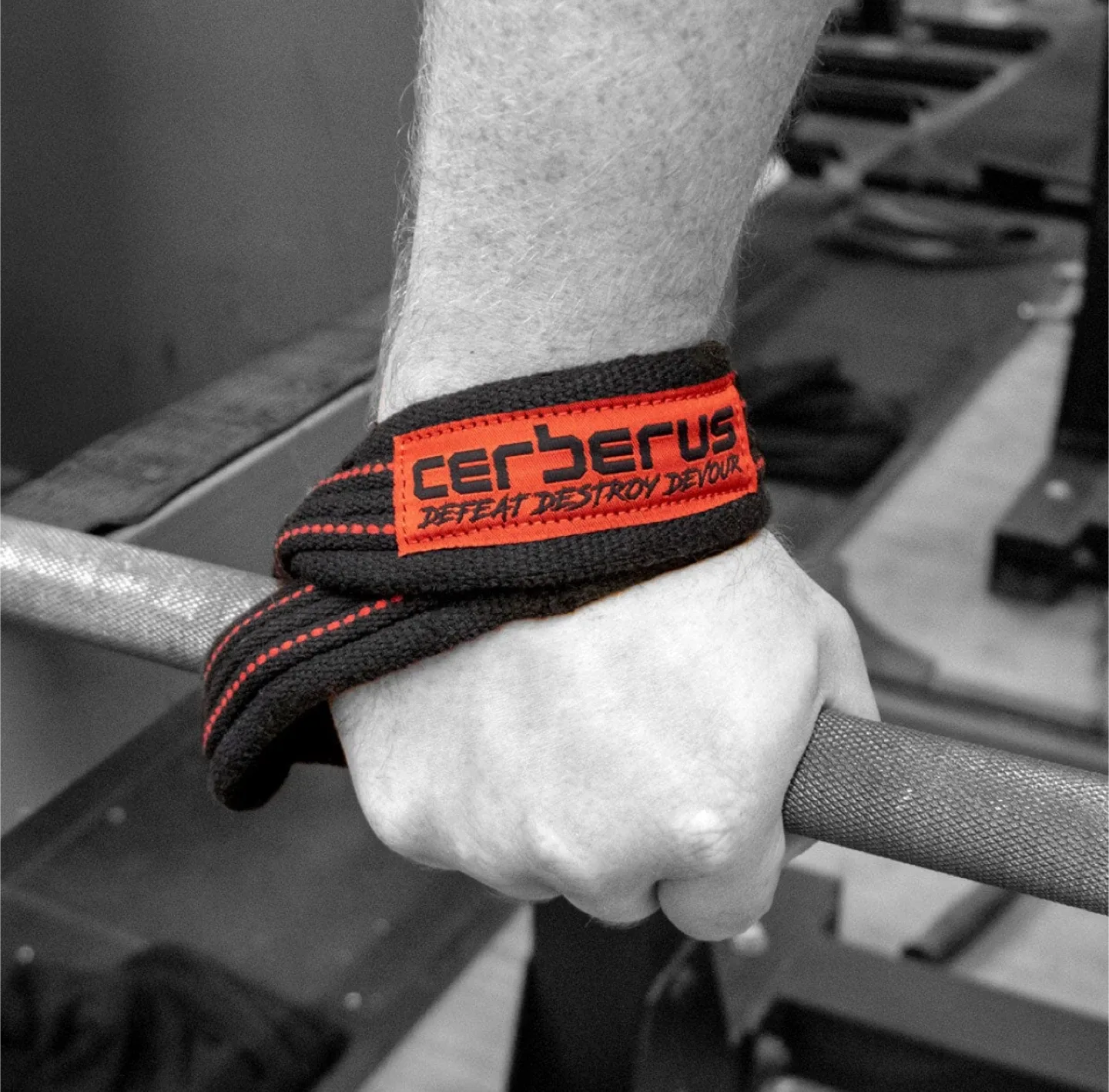 CERBERUS 8자 리프팅 스트랩 새상품