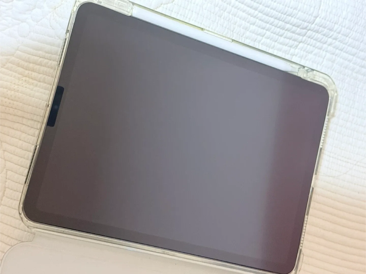 아이패드 에어5 64 + 애플펜슬