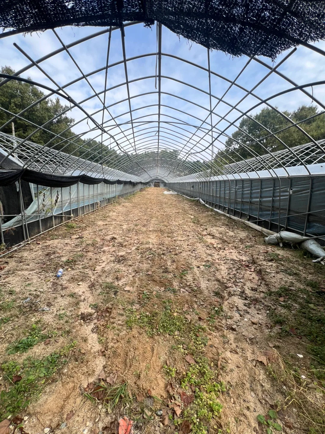 32mm-1.5t-12m 비닐하우스 중고파이프 A급 양쪽 인발작업