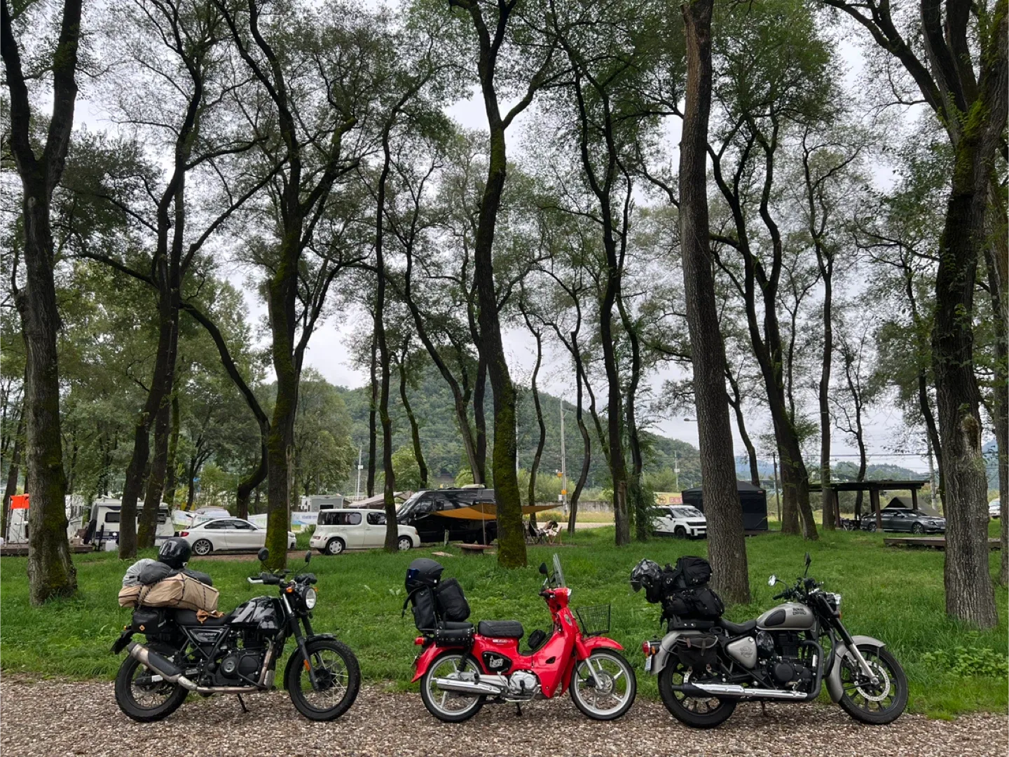 2021년식 혼다 슈퍼 커브 레드