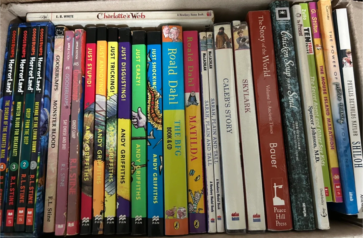 아동 영어 원서 중고모음 (구스범스, 저스트,로알드 달) 낱권천원