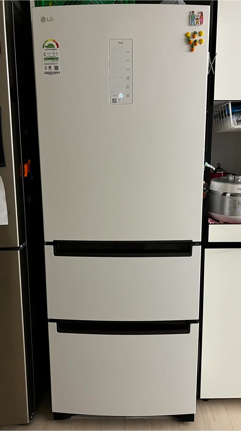 LG 디오스 오브제컬렉션 김치냉장고 327L