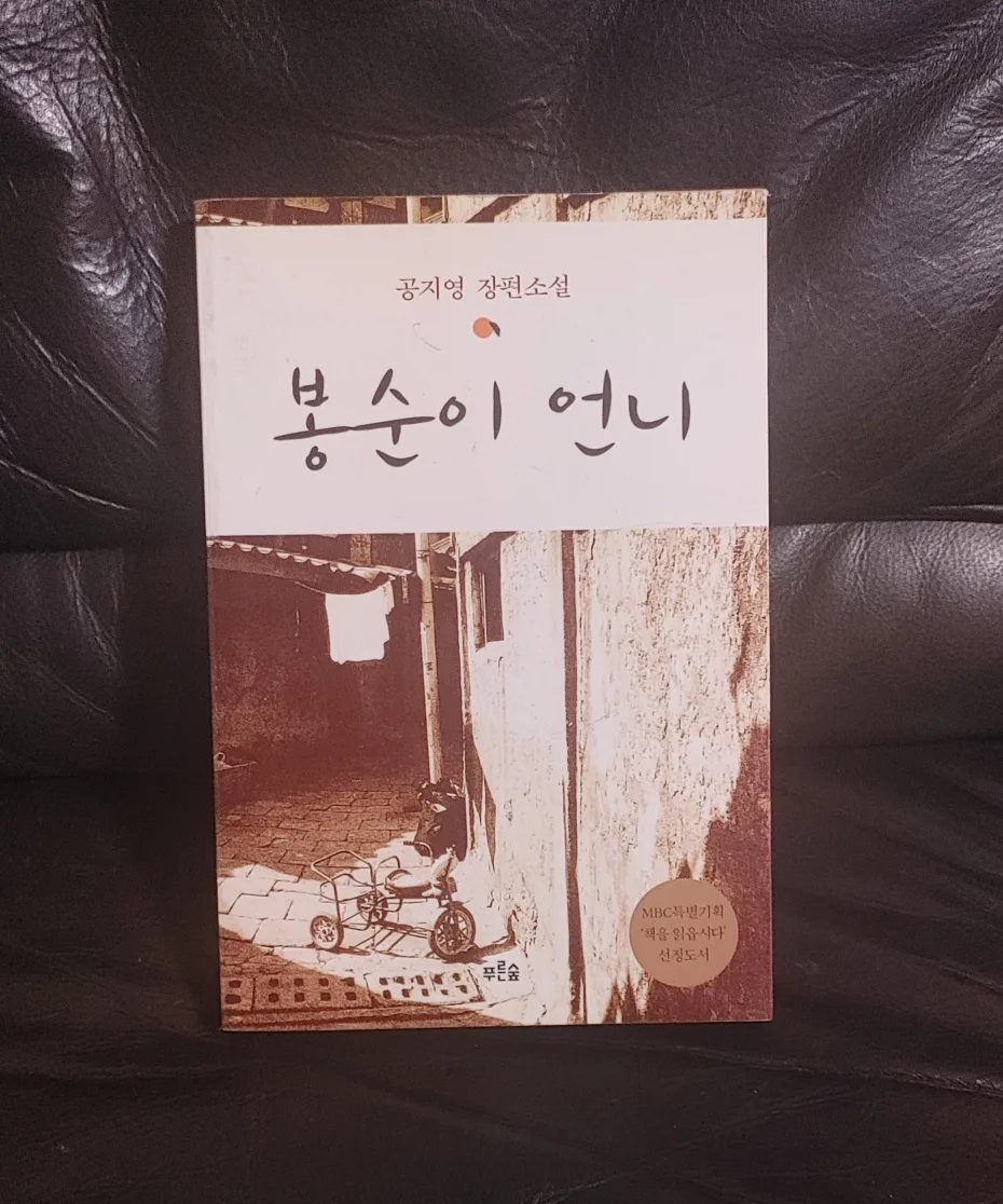 중고서적 봉순이언니