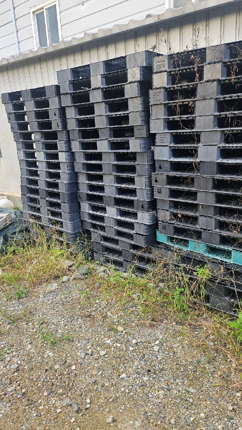 빠랫트 중고 팝니다 개당