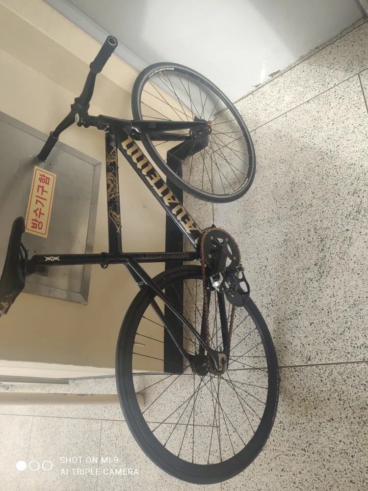 Lauateinn 검정색 중고 자전거