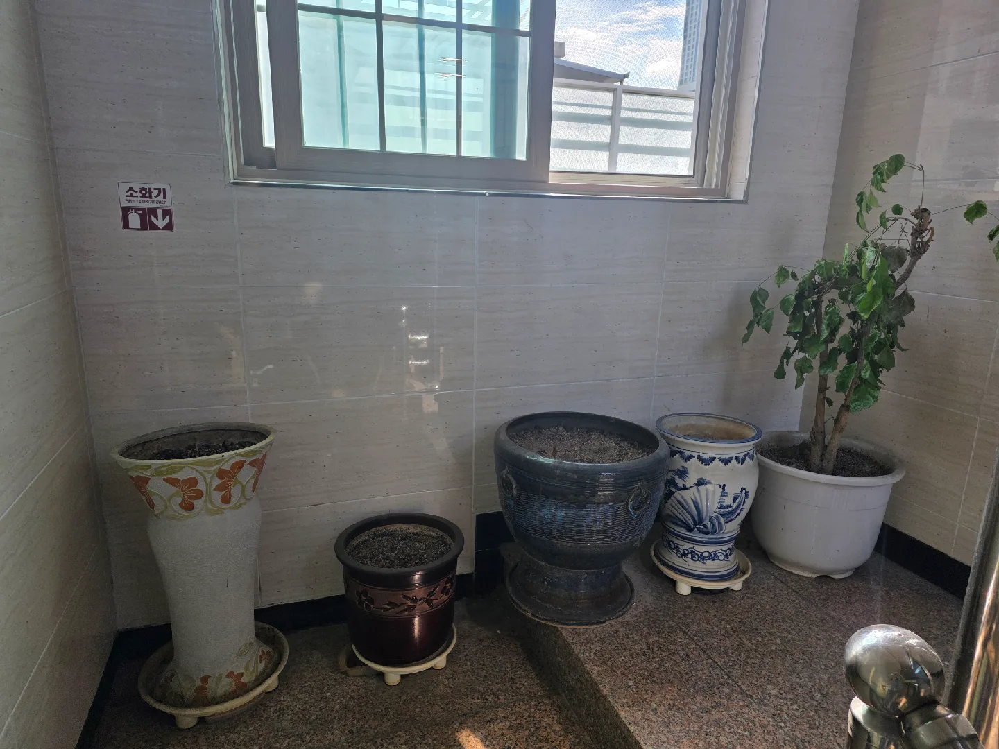 큰 화분 필요하신분 가져가세요