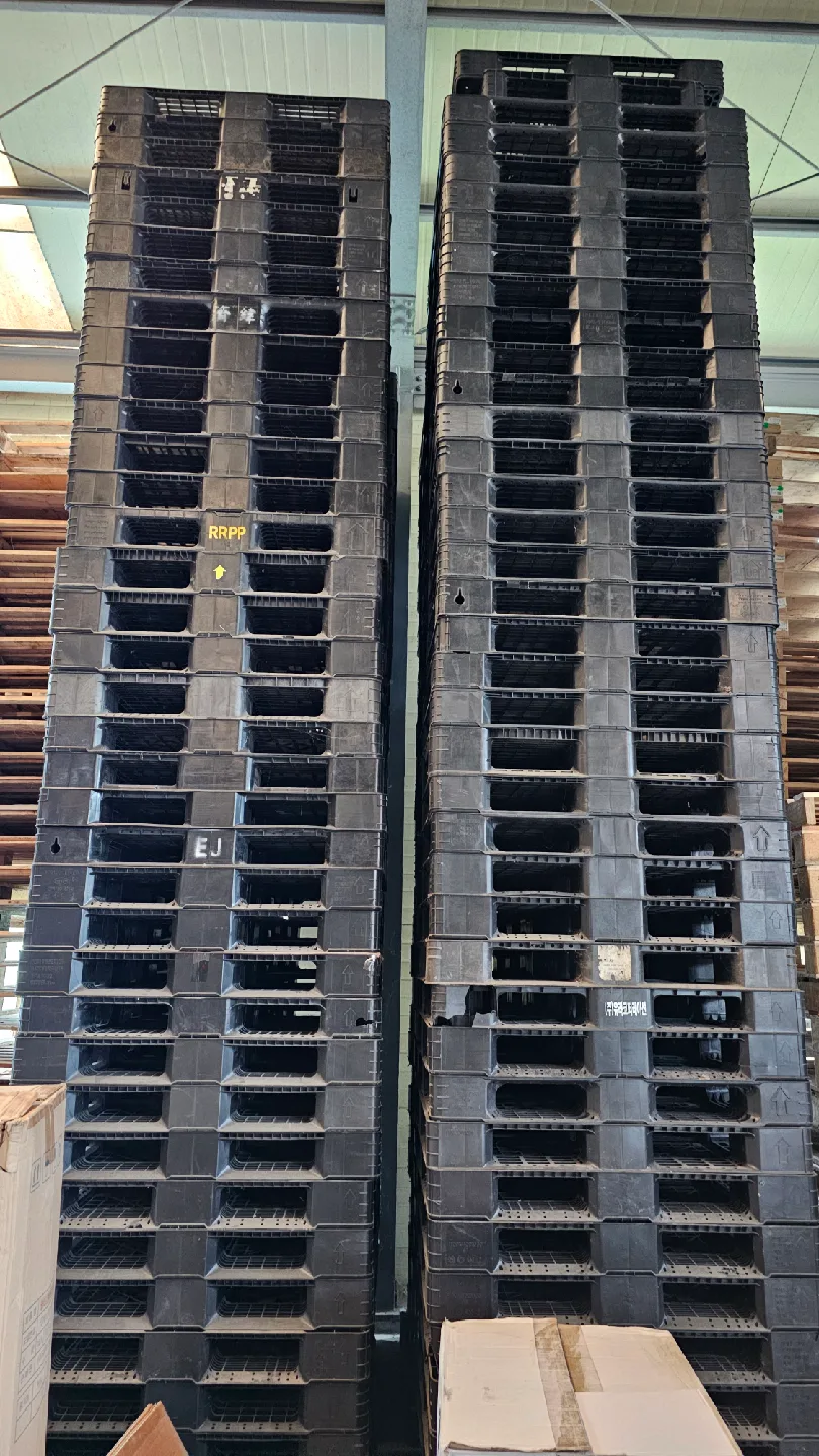 중고 플라스틱 파렛트