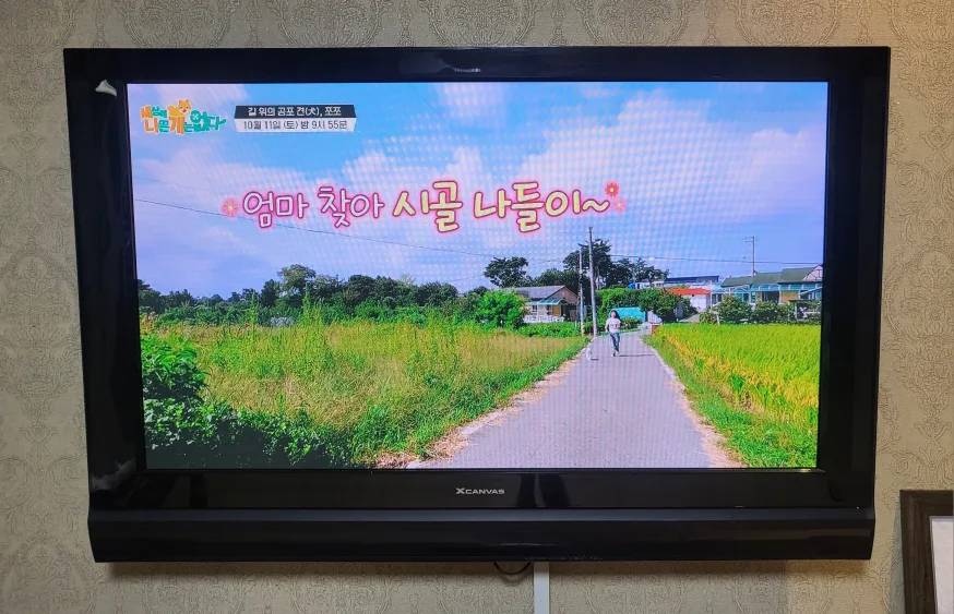 LG 엑스캔버스 50인치 TV