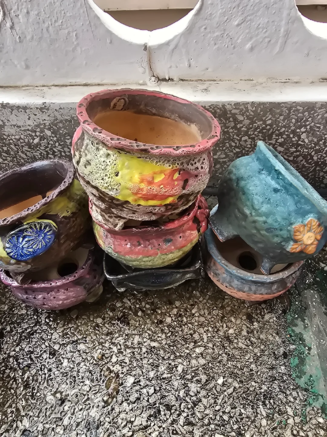 중고다육화분 팝니다