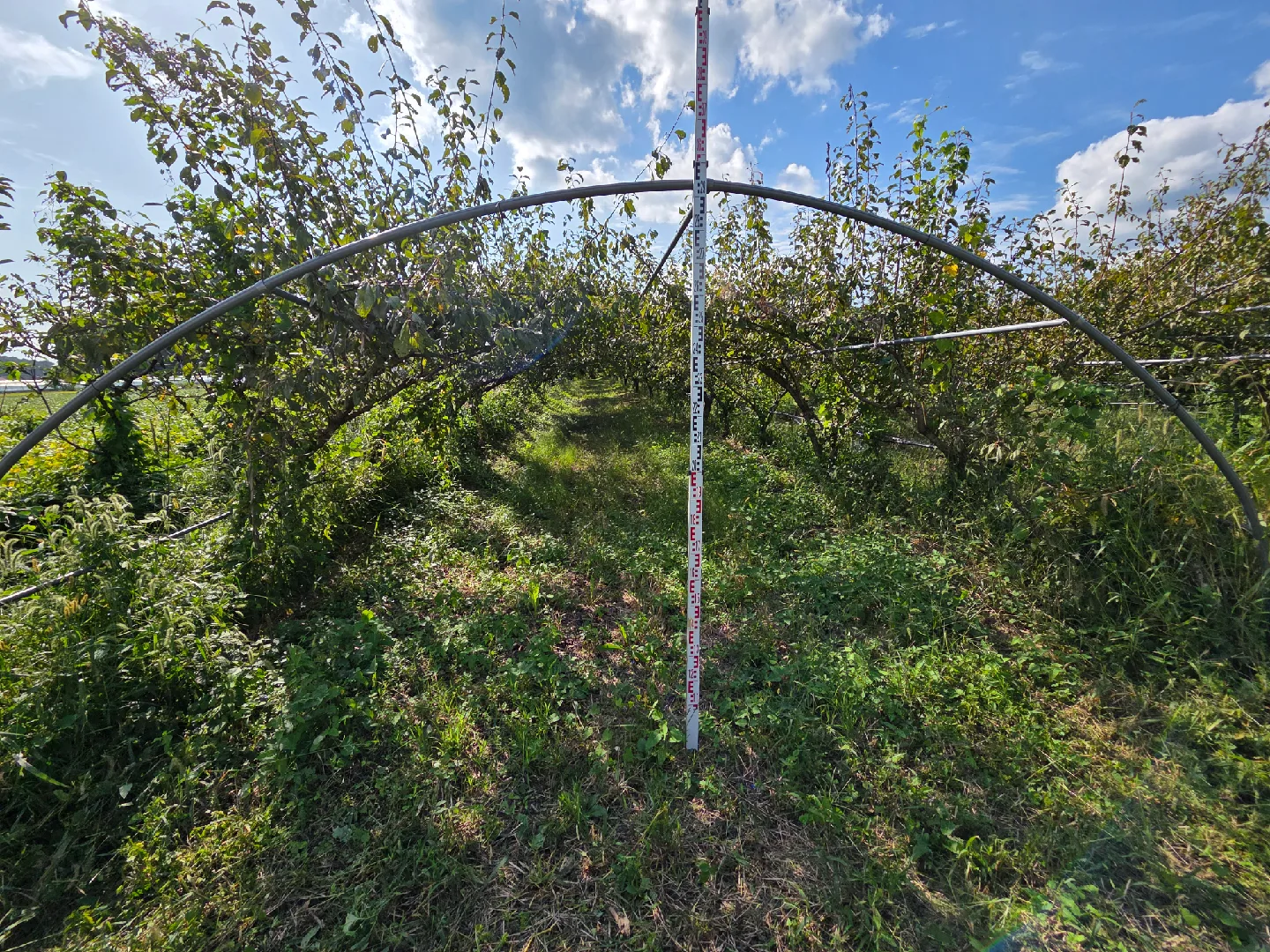 32mm하우스파이프 활대 가로대25mm판매.