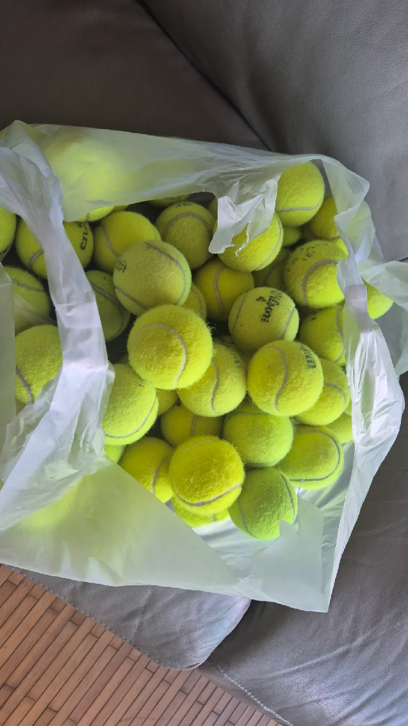 중고 테니스공, 연습볼, 테니스볼 판매합니다 50개 묶음