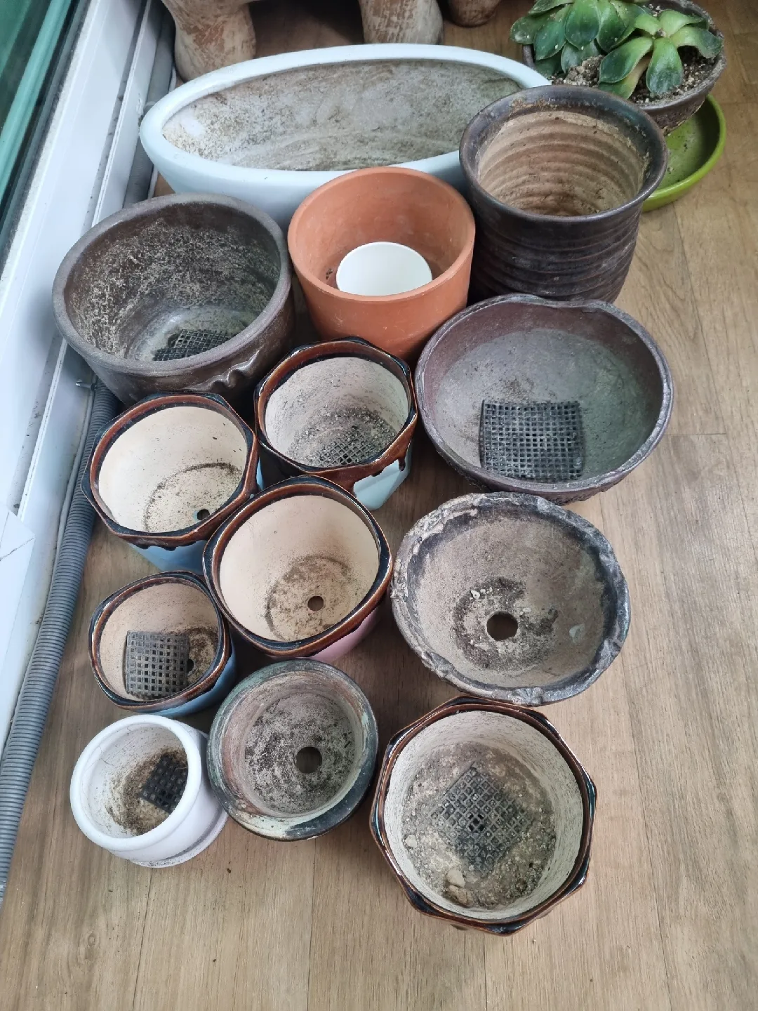 중고다육 화분 모음