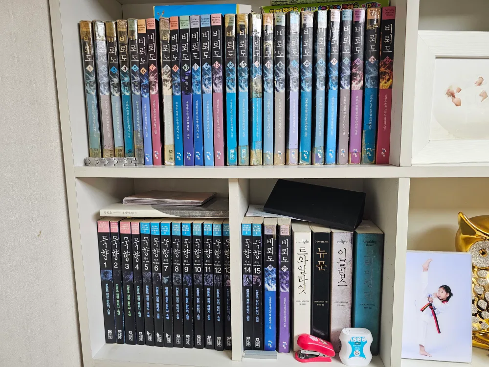 비뢰도1~29(26권없음, 중고구입)