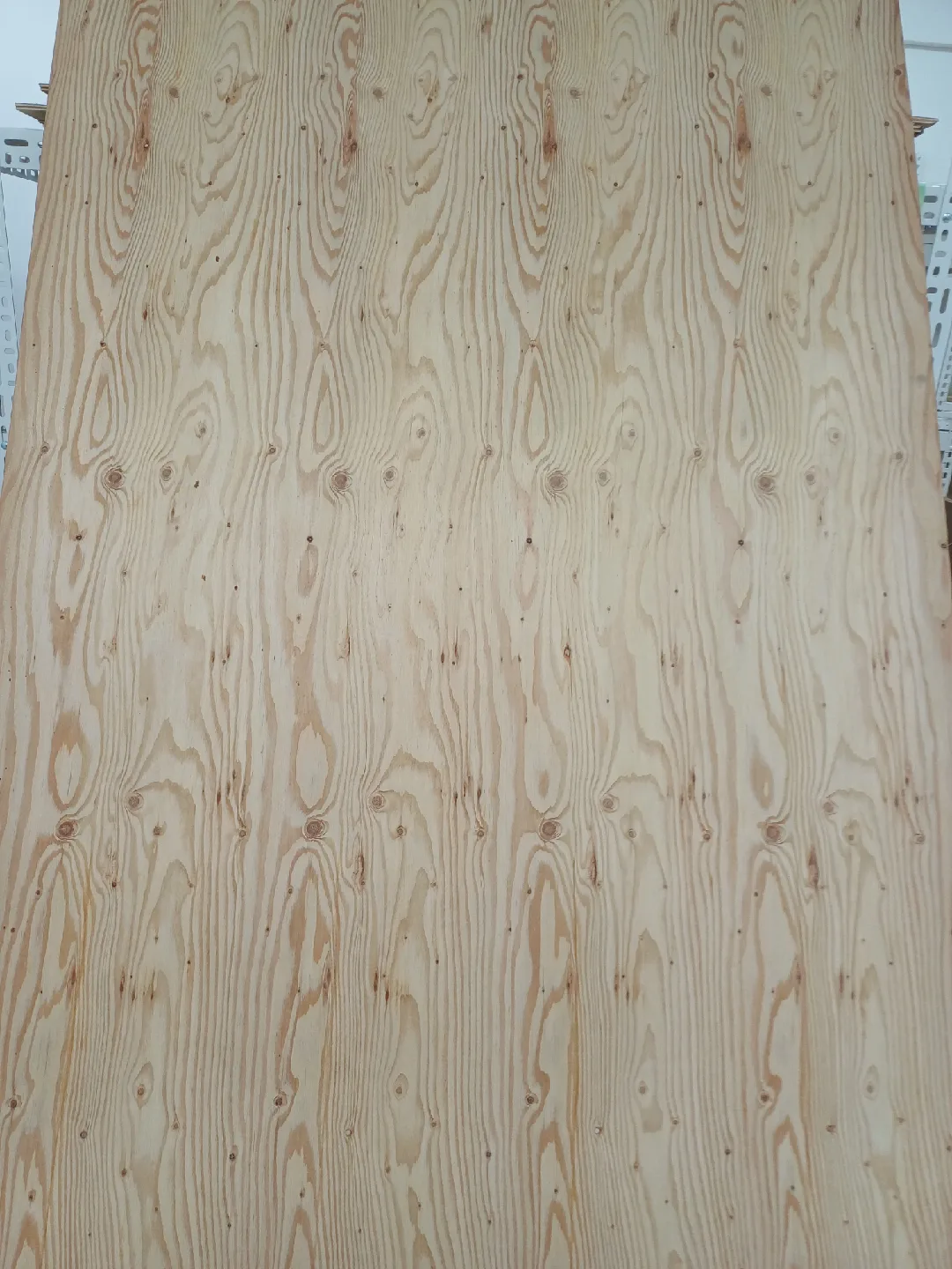 중고 낙엽송 합판