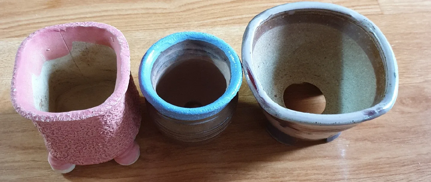 다육이화분 총3개(중고)