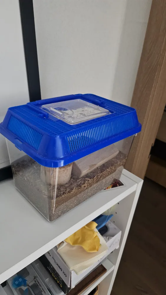 곤충 사육장 (중고)