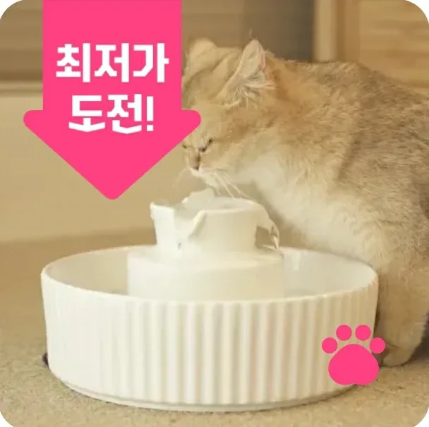 고양이•강아지 펫 정수기 (새상품)