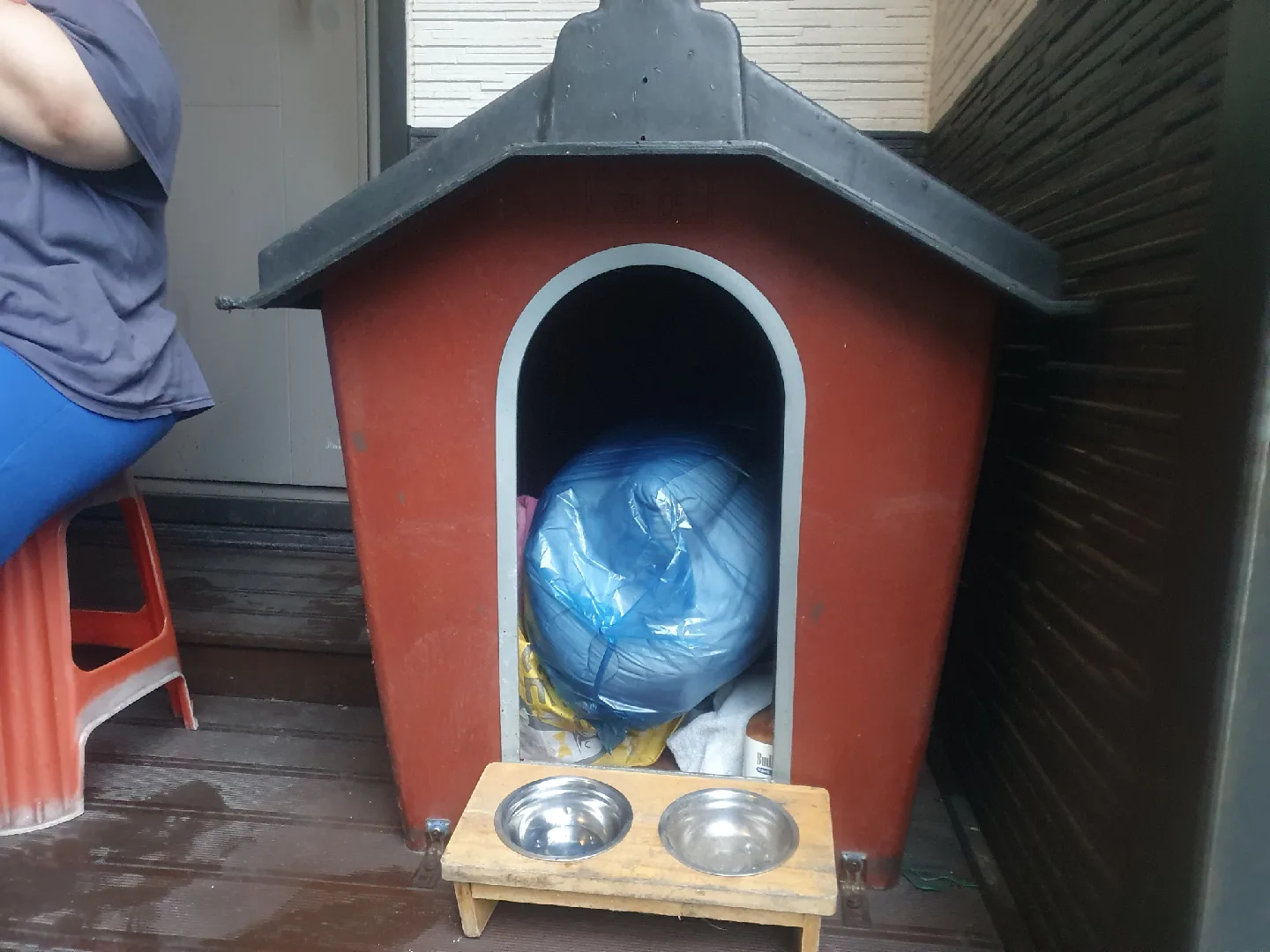 강아지 집 멍멍이집