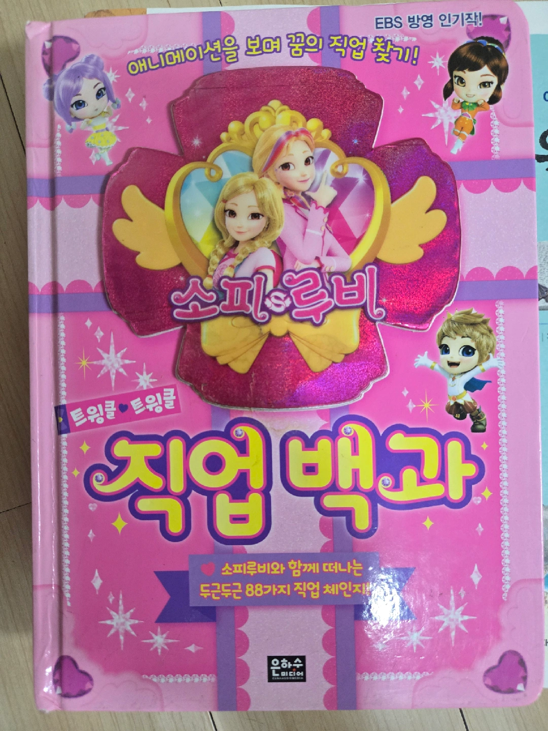 소피 루비 직업 백과