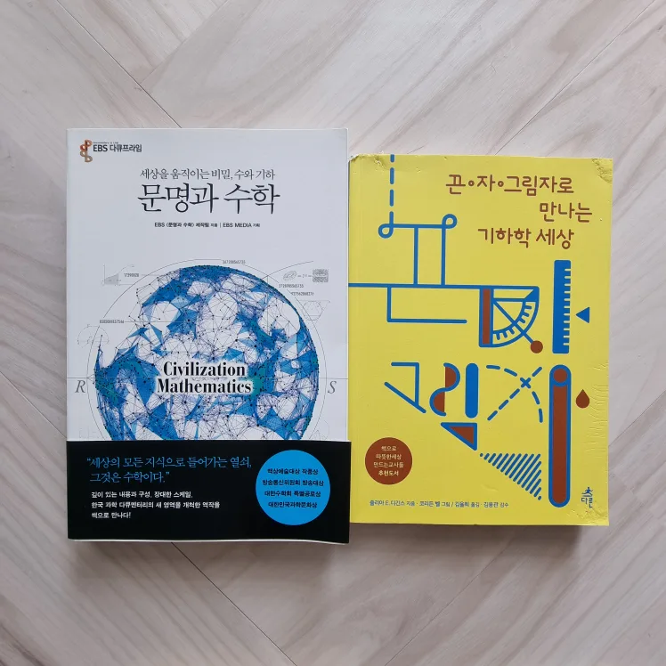 중고등 진로 연계 도서(문명과 수학 & 기하학 세상)