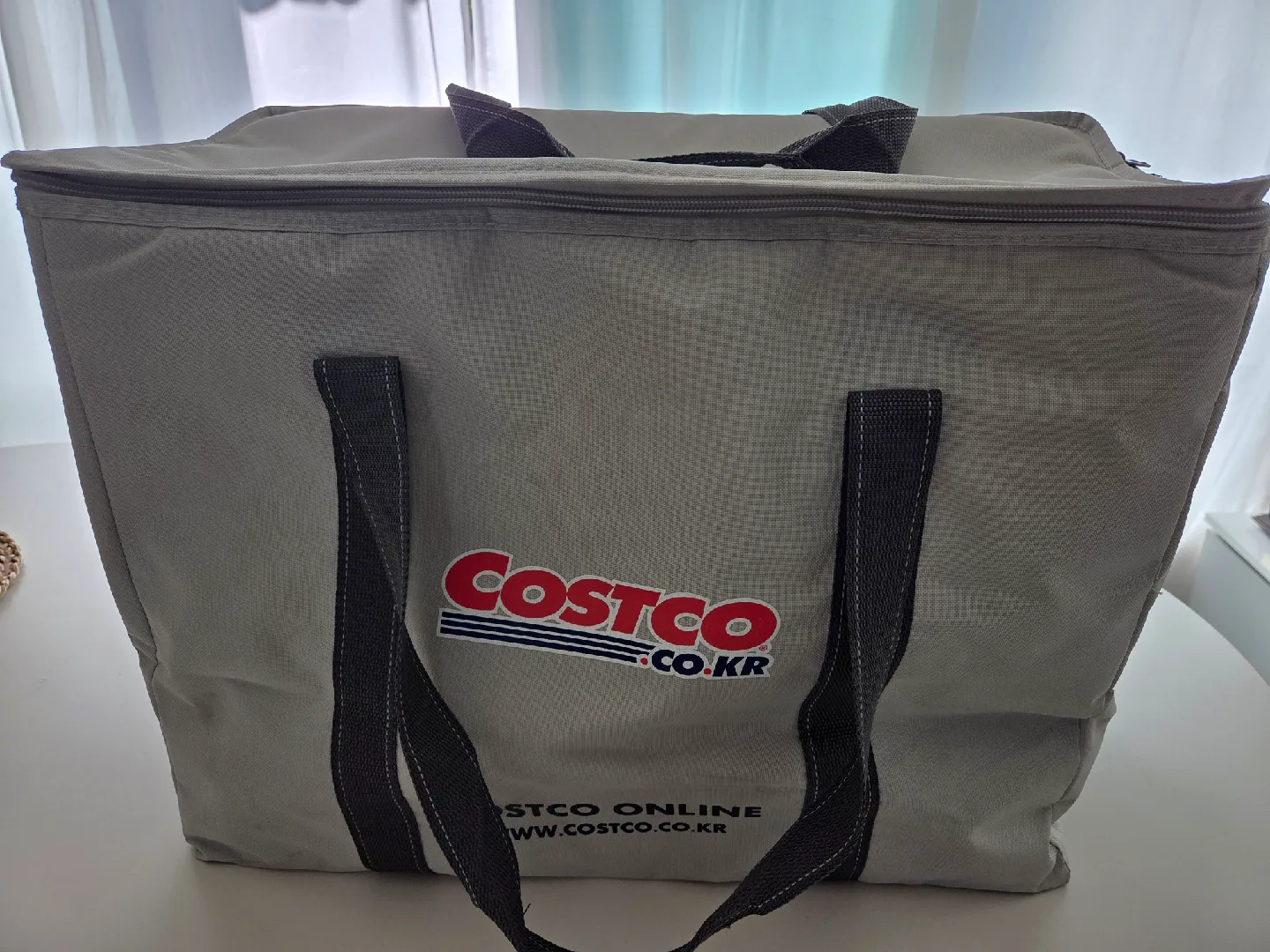 코스트코 아이스 쿨러백