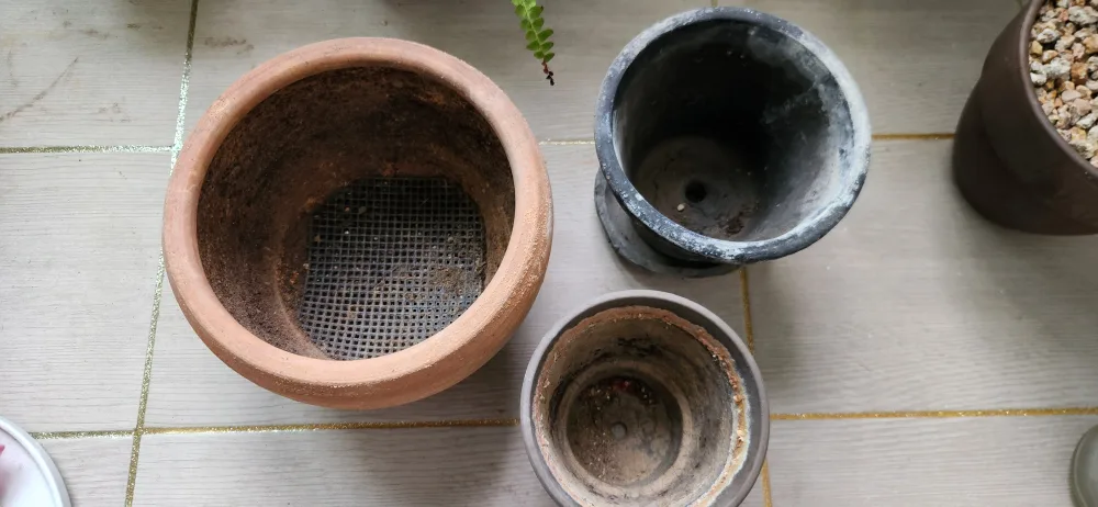 중고 화분 모음