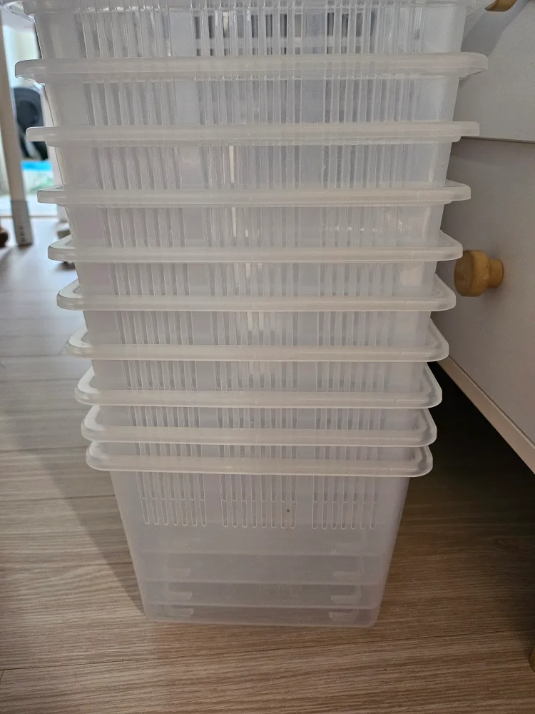 중고  지곤사육장 버전2  도마뱀사육장