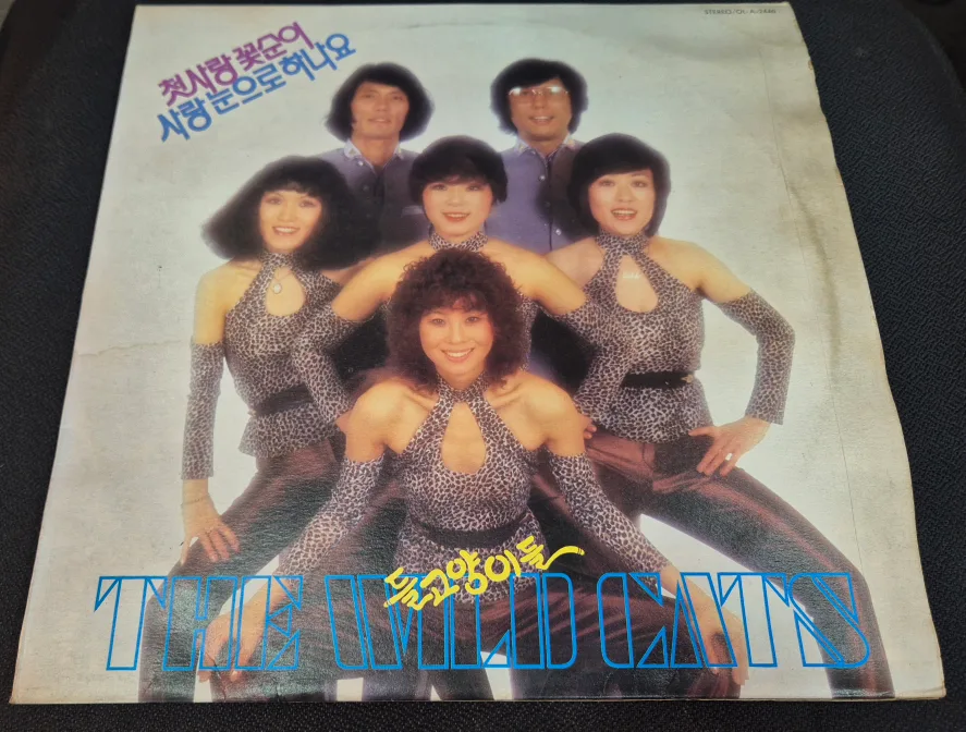 들고양이들 LP판