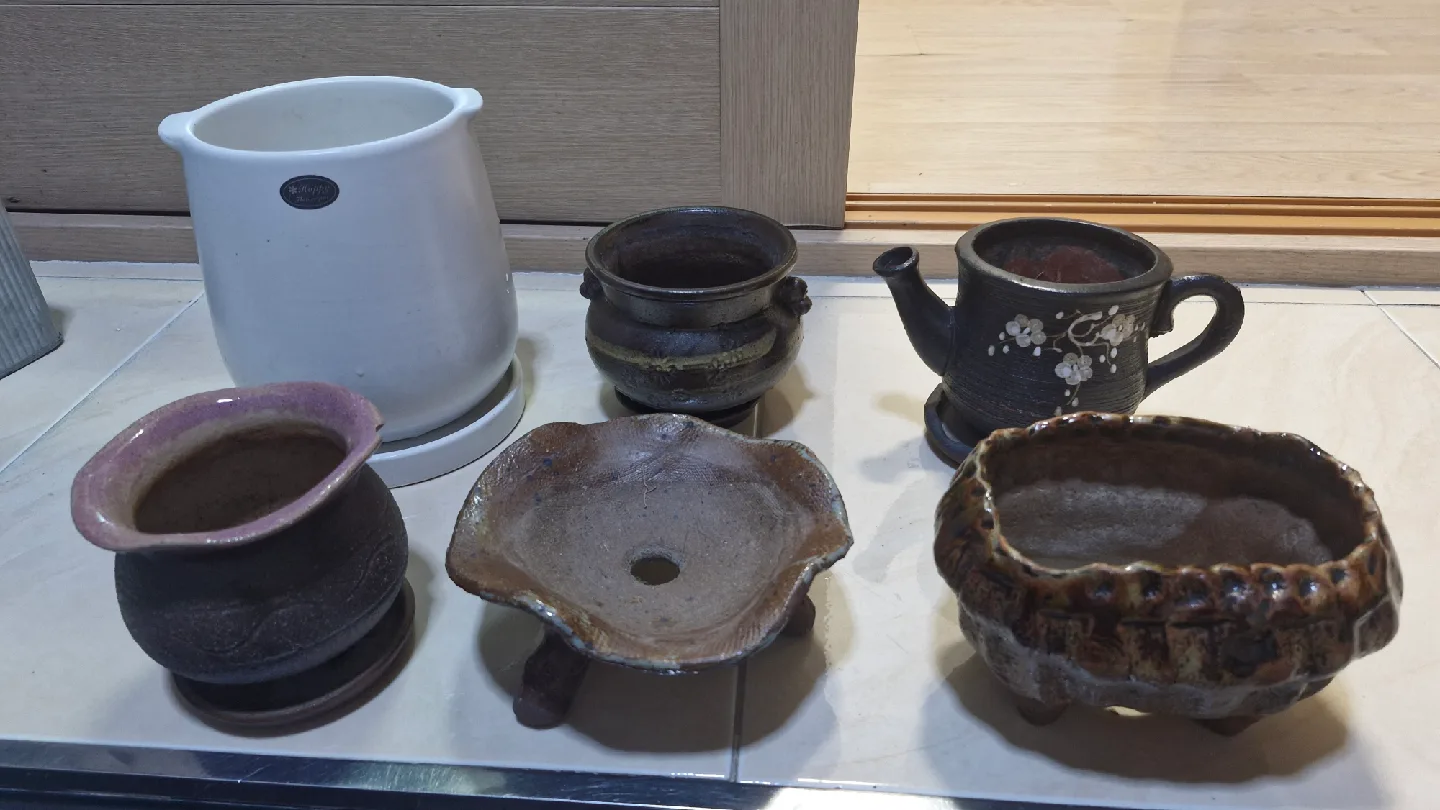 다양한 디자인 화분 모음