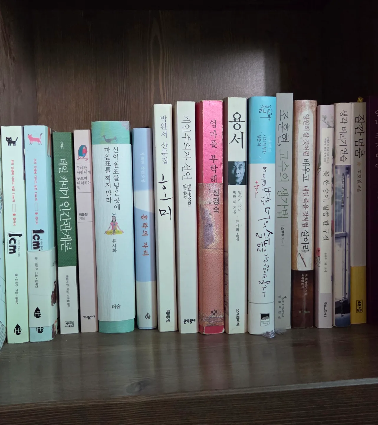 다양한 중고 책 모음
